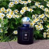 Jo Malone London Moonlit Camomile Jo Malone London Moonlit Camomile